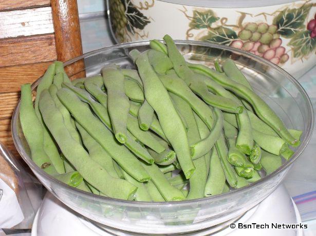 Greencrop Green Beans