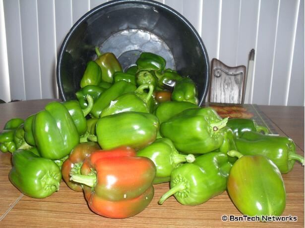 California Wonder Peppers