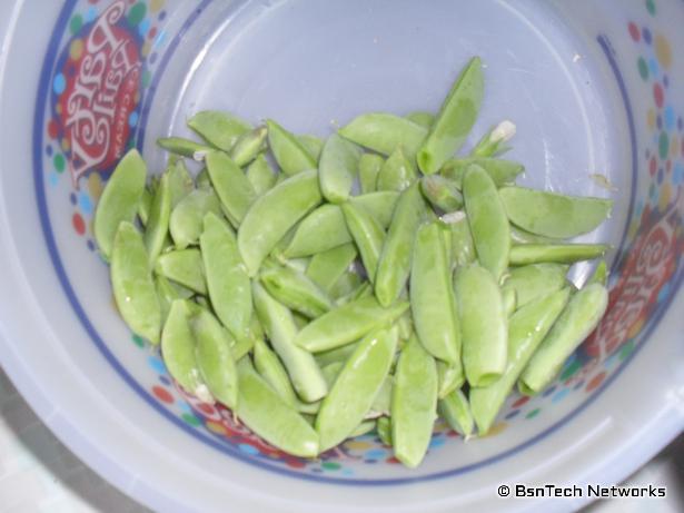 Cascadia Peas