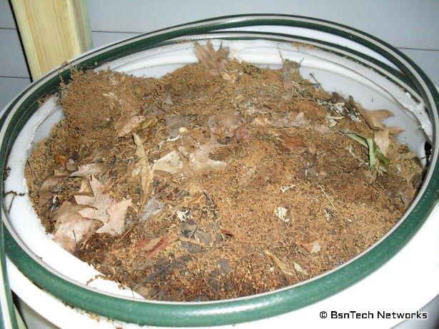 Compost Tea in 55 Gallon Drum