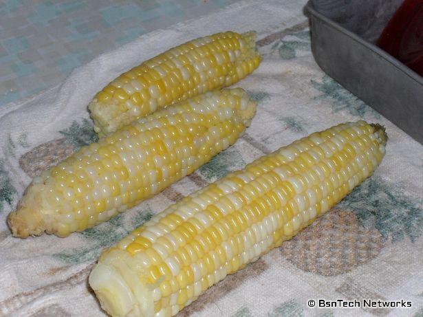 Sugar Dots Corn