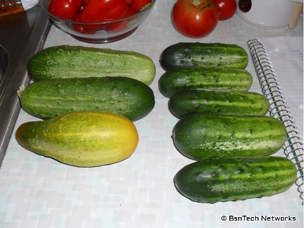 Cucumbers