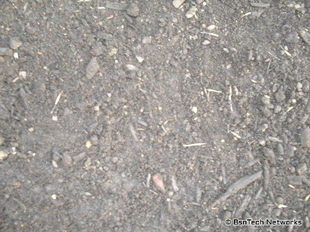 Curb Appeal Project