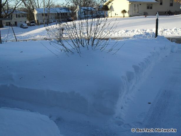 Front Garden - Snow Covered