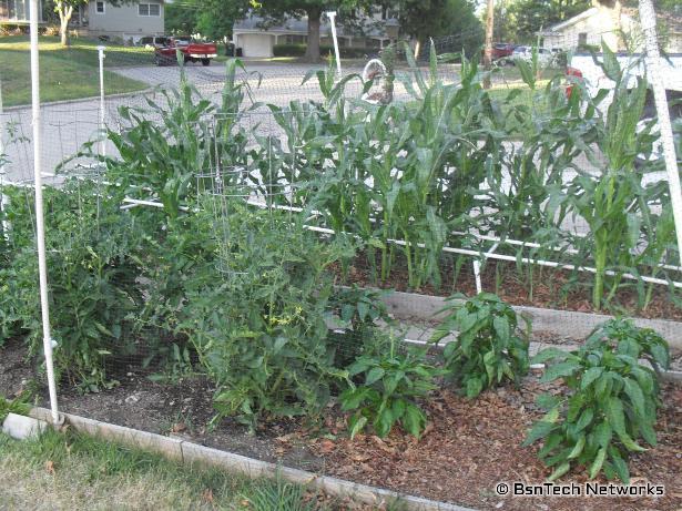 Front Garden