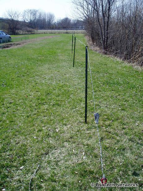 Grape trellis fecing