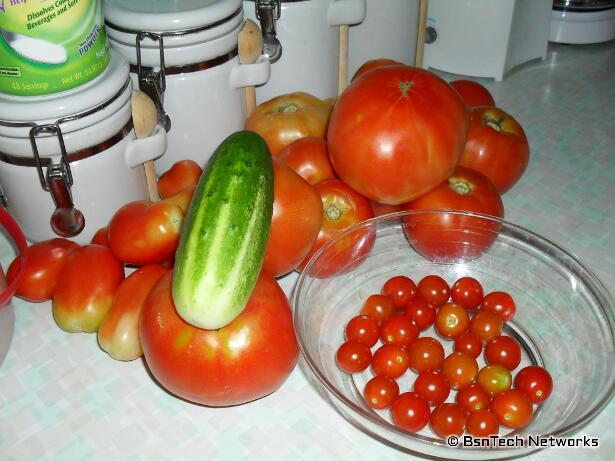 Tomatoes