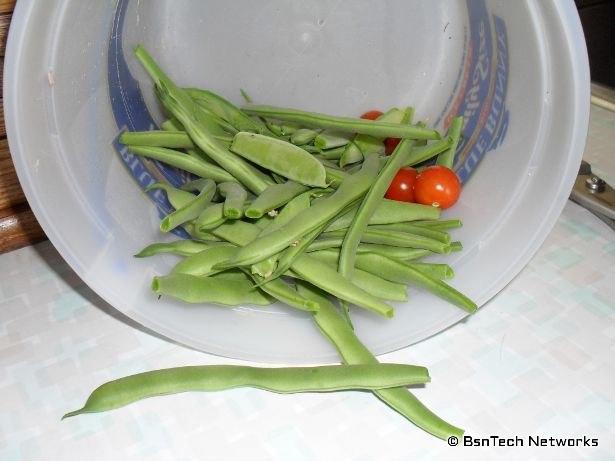 July 4th Harvest