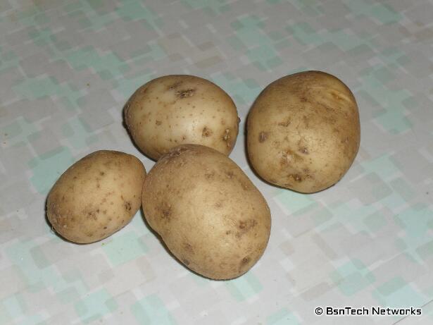 Kennebec Potatoes