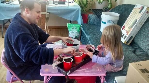 Filling Seed Containers