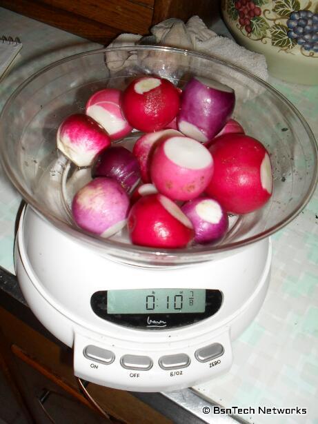 Easter Egg Radishes