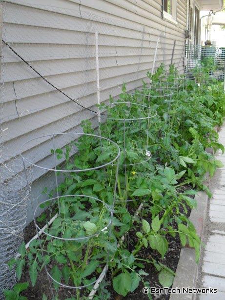 Side Garden