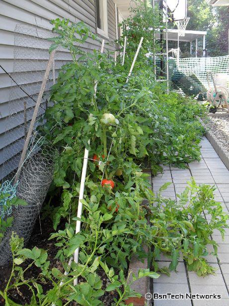 Side Garden