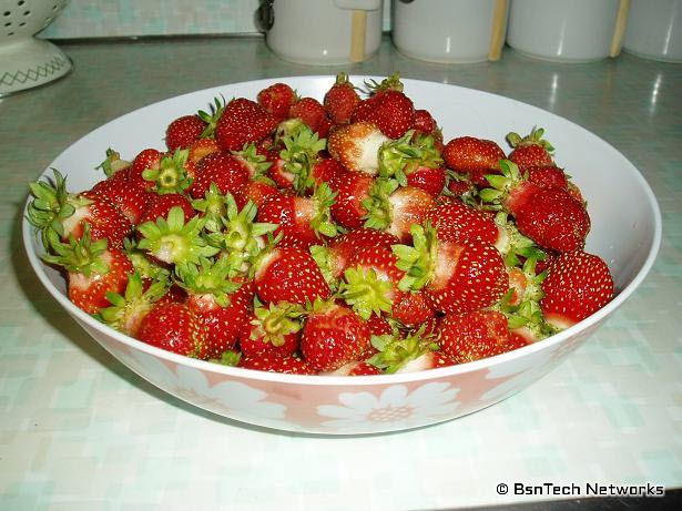 Bowl of Strawberries