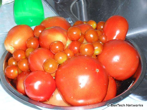 Tomatoes