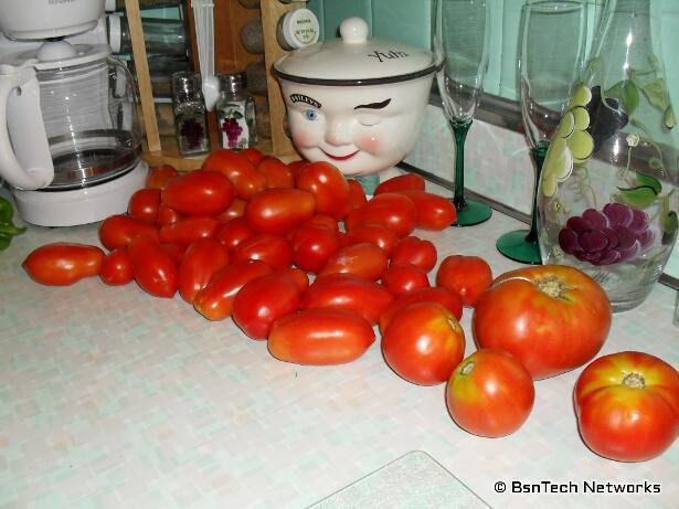 Tomatoes