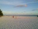 Anna Maria Island Pictures