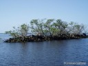 Florida City - Everglades