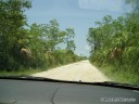 Loop Road - Everglades