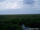 Shark Valley - Everglades