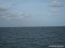 Skyway Bridge from Rod & Reel Pier