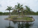 Landscaping at the Florida Oceanographic Center