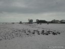 Siesta Beach - October 20th, 2011