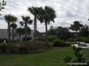 Landscaping at the Florida Oceanographic Center