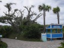 Trails at the Florida Oceanographic Center