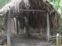 Landscaping at the Florida Oceanographic Center