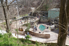 Ober Gatlinburg Wildlife Encounter