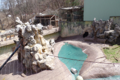 Ober Gatlinburg Wildlife Encounter
