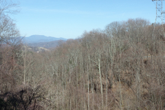 Ober Gatlinburg Tram