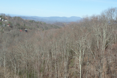 Ober Gatlinburg Tram