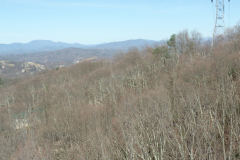 Ober Gatlinburg Tram