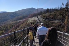 On the SkyBridge