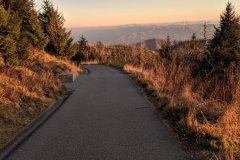 Clingman's Dome Trail