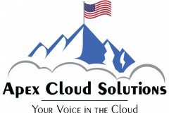 Cloud Services Company Logo Example