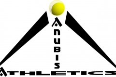 Athletic Company Logo Example