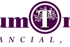 Financial Company Logo Example