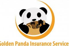 Insurance Company Logo Example