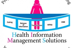 Health Consulting Company Logo Example
