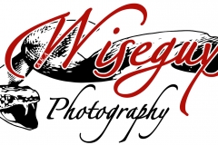 Photography Company Logo Example