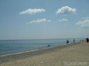 Illinois Beach State Park