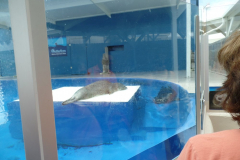 Gulfarium in Fort Walton Beach, FL