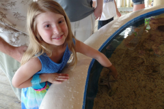 Gulfarium in Fort Walton Beach, FL