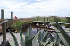 Gulfarium in Fort Walton Beach, FL