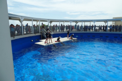 Gulfarium in Fort Walton Beach, FL