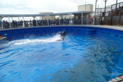 Gulfarium in Fort Walton Beach, FL