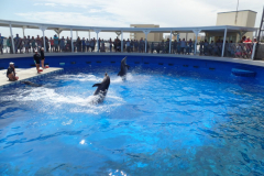 Gulfarium in Fort Walton Beach, FL